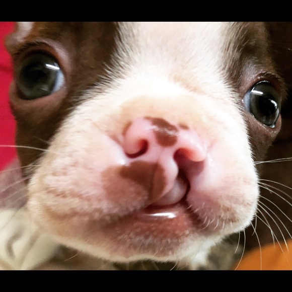 Meet your Posher, Jaime - Picture 4 of 16